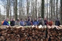 Viel Wald, viel Holz und viele Interessenten/Innen: Holzauktion in Niederrimsingen