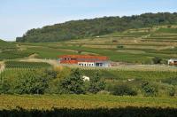 Erivan Haub setzt sich auf den Kaiserstuhl: Haubs neue Abril-Weinburg in Bischoffingen