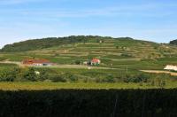 Erivan Haub setzt sich auf den Kaiserstuhl: Haubs neue Abril-Weinburg in Bischoffingen