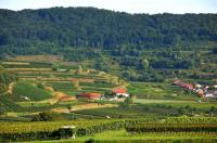 Erivan Haub setzt sich auf den Kaiserstuhl: Haubs neue Abril-Weinburg in Bischoffingen