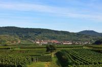 Ein großer Garten Eden: Das Dorf Bischoffingen in den Weinbergen des Kaiserstuhls.